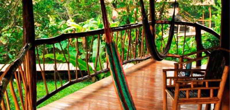 Cotton Tree Lodge San Felipe  Екстер'єр фото