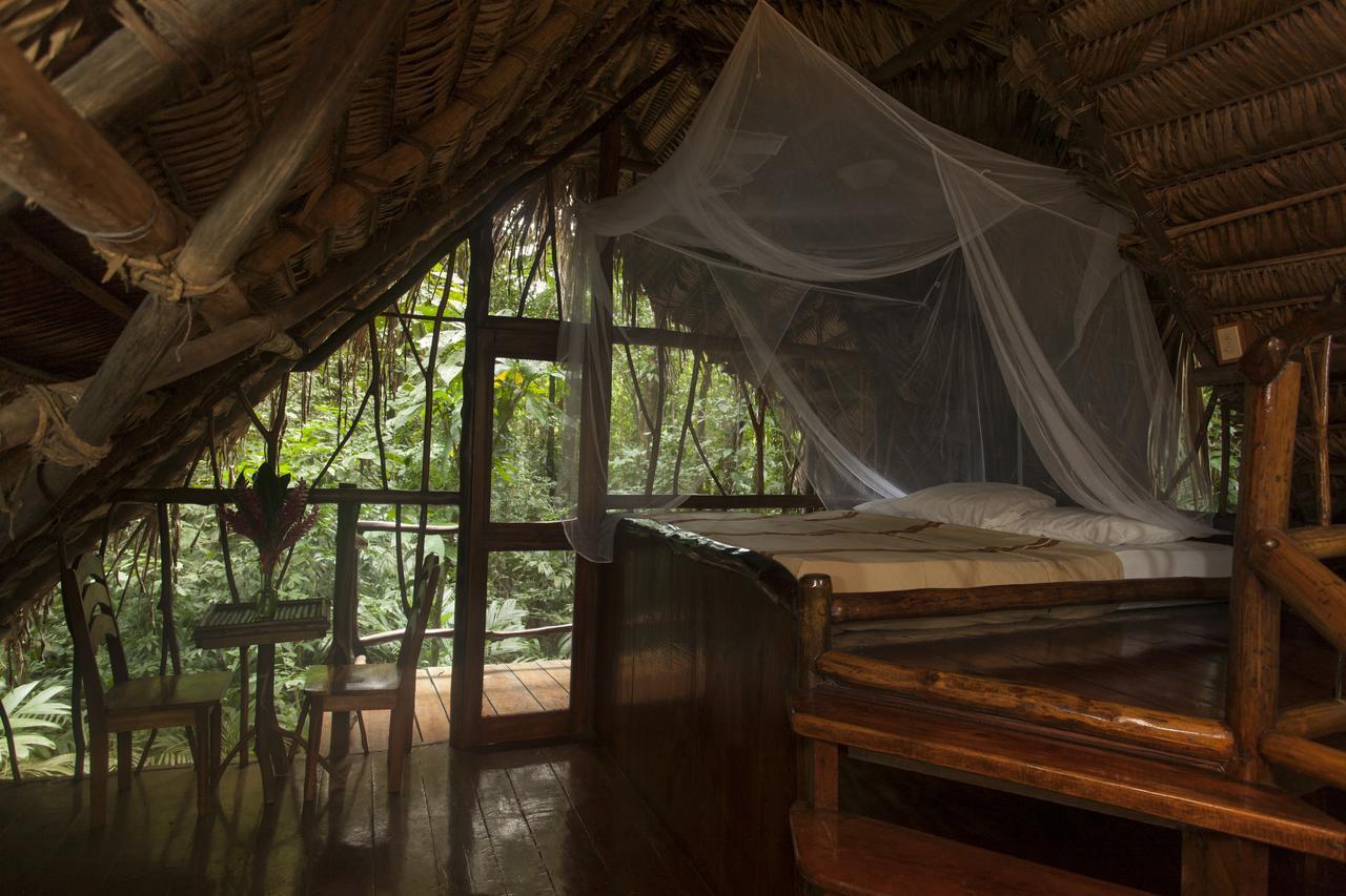 Cotton Tree Lodge San Felipe  Екстер'єр фото