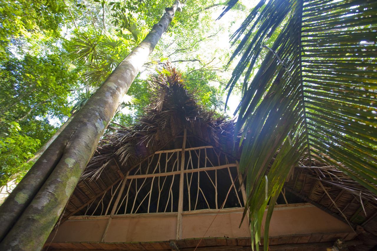 Cotton Tree Lodge San Felipe  Екстер'єр фото