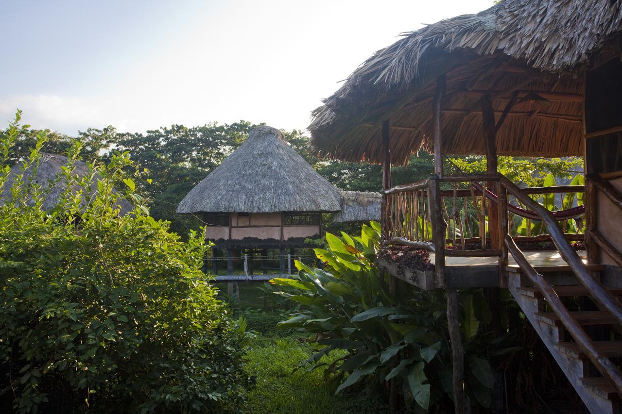 Cotton Tree Lodge San Felipe  Екстер'єр фото