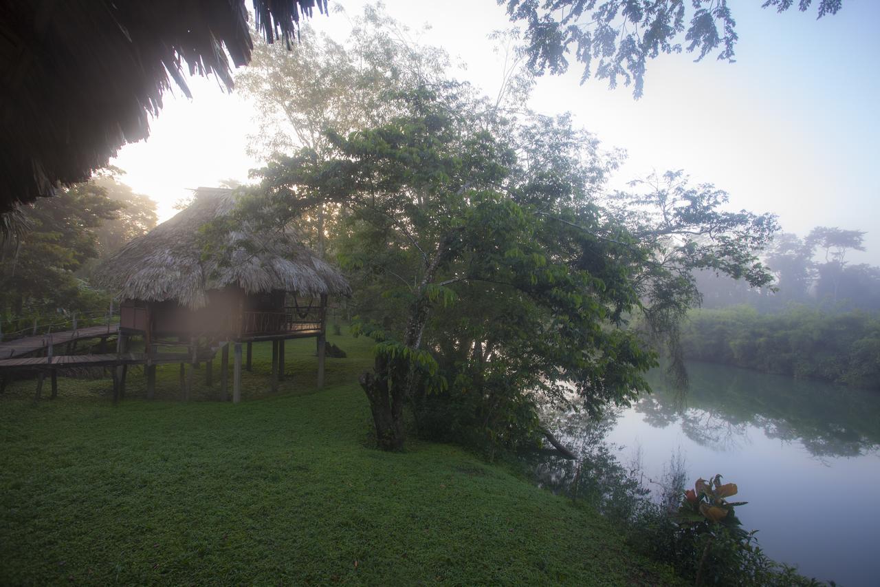 Cotton Tree Lodge San Felipe  Екстер'єр фото