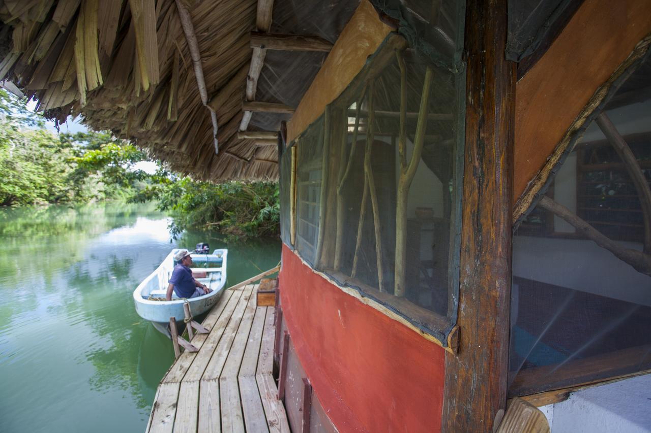 Cotton Tree Lodge San Felipe  Екстер'єр фото